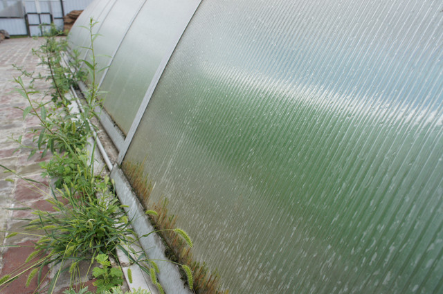 Павільйон для басейну Павільйон для басейну