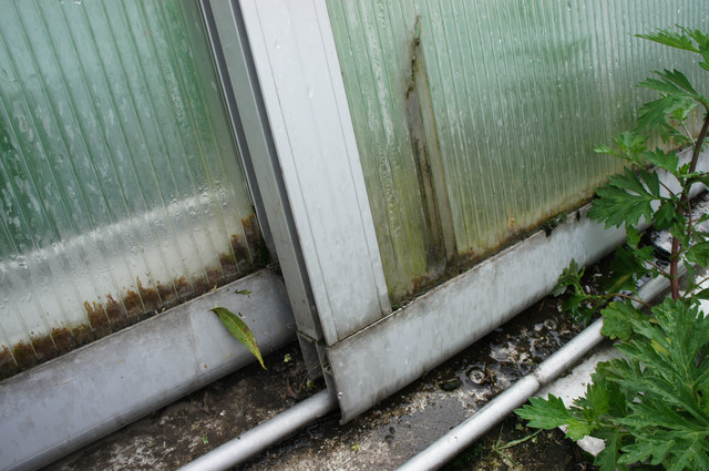 Павільйони для басейнів Павільйони для басейнів