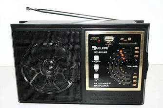 Радіоприймач Golon RX-98UAR