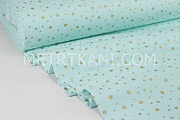 Тканина ранфорс Туреччина 240 см "Звітрозад" (глітер) золотий на м'ятному No WH-1731-33