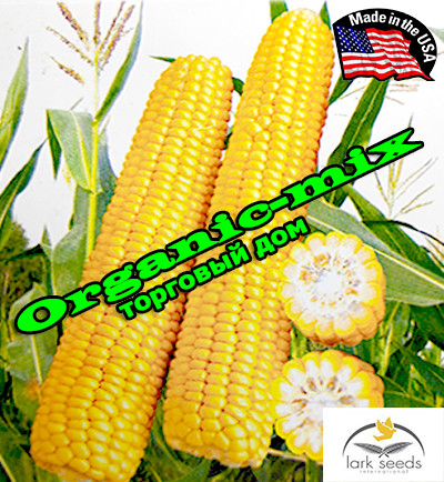 Насіння, кукурудза цукрова Рання Наволода F1 (США), 2500 насіння, ТМ Lark Seeds