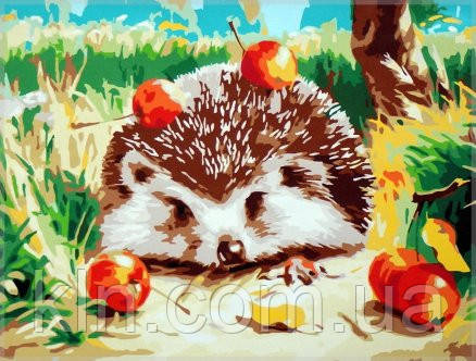 Картина за номерами Babylon Їжачок і яблука MS618 40 х 50 см, фото 1