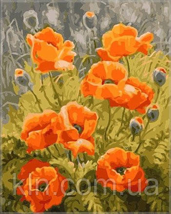 Картина за номерами Babylon Польові маки	SW023 40 х 50 см, фото 1