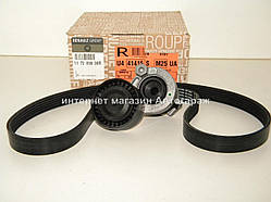 Комплект ременя генератора на Рено Кенго II (-AC) 1.5 dCi Renault (Оригінал) 117209699R