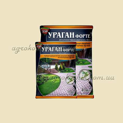 Ураган Форте, фото 1