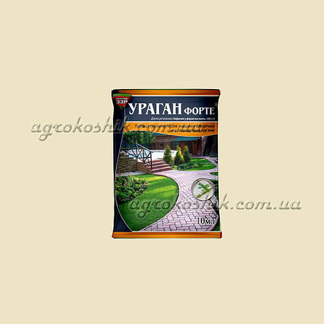 Ураган Форте, фото 3