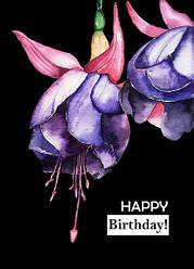 Листівка "Фуксія"