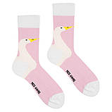 Шкарпетки Sammy Icon набір гедоніста 36-40, 5 шт, фото 2