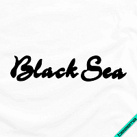 Термонаклейки на футболки Black Sea [Свой размер и материалы в ассортименте] 6.7, Крупный Свой размер, Крупный