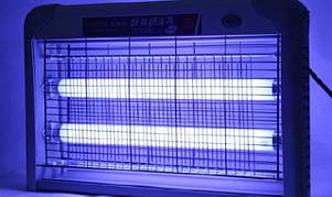 Лампи-мухобойки 2019