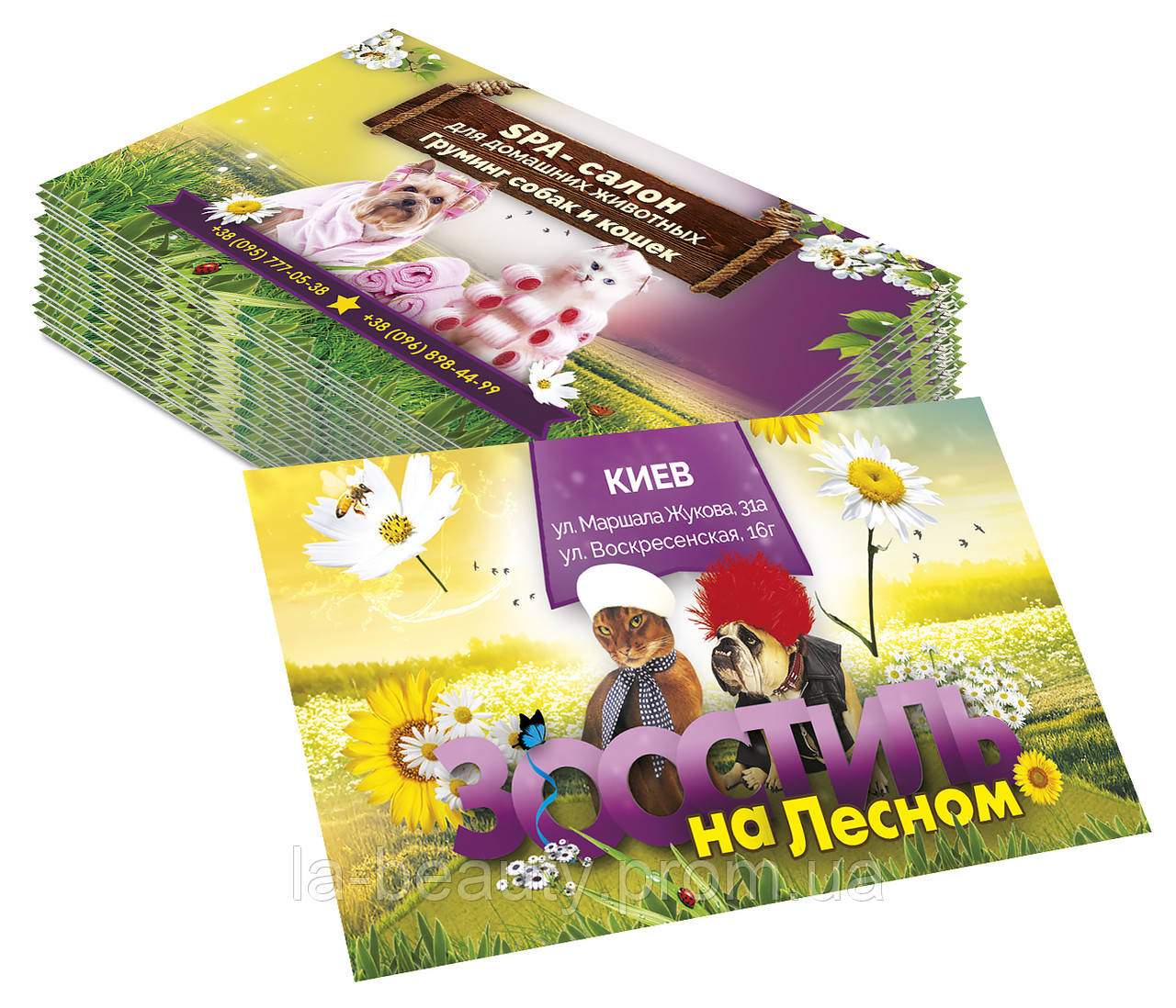 Дизайн візиток зоо (грумінг) салону краси для тварин Зоостиль