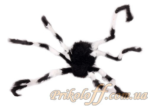 Павук гігант, Хеловін, фото 1