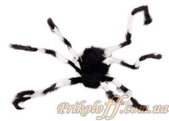 Павук гігант, Хеловін