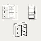Комод-4-1-1 Компаніт 913х877x448 ЛДСП вільха, фото 3