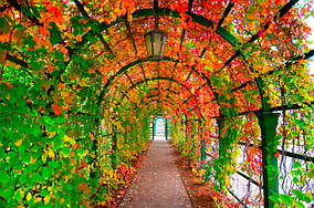 Фотошляхи вінілові на флізеліновій основі, що миють