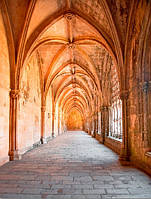 Фотошляхи вінілові на флізеліновій основі, що миють