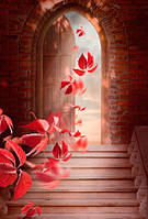 Фотошляхи вінілові на флізеліновій основі, що миють