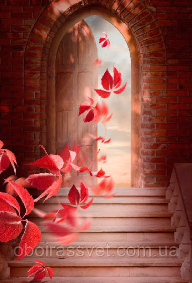 Фотошляхи вінілові на флізеліновій основі, що миють