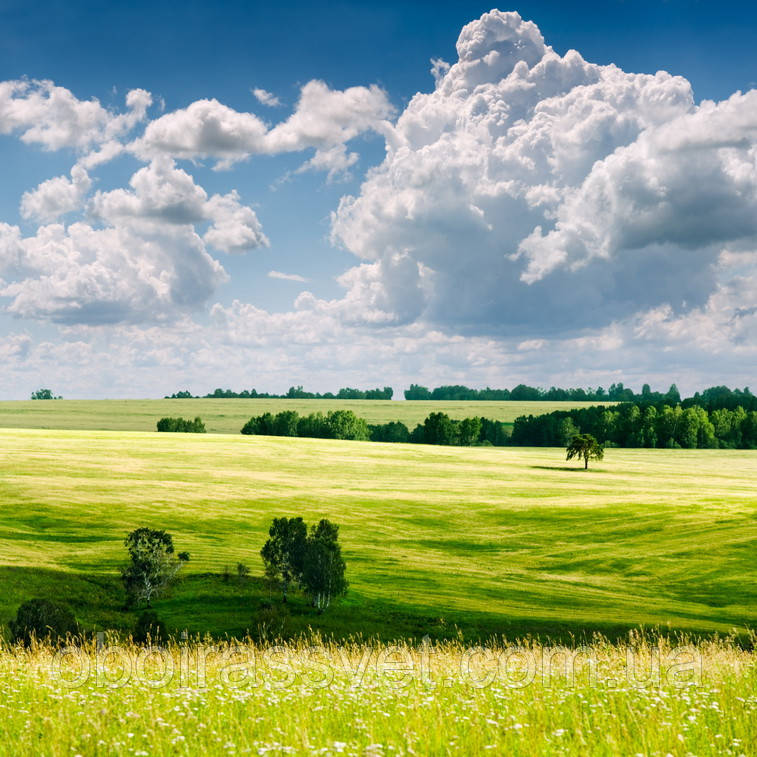 Фотошляхи вінілові на флізеліновій основі, що миють