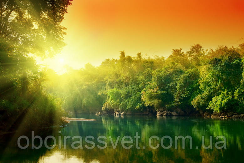 Фотошляхи вінілові на флізеліновій основі, що миють