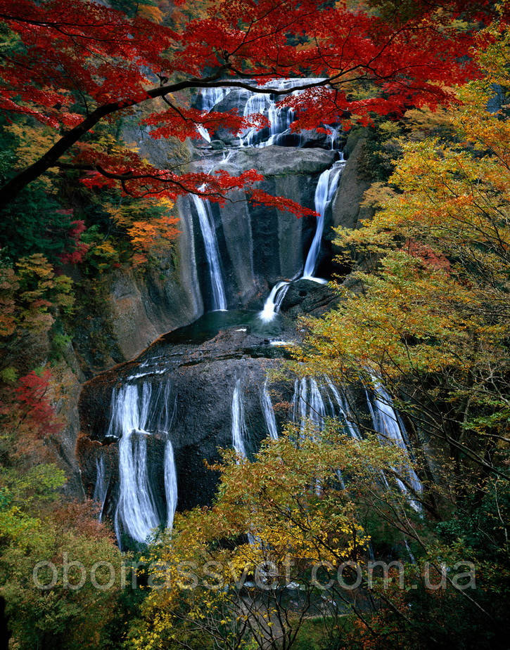 Фотошляхи вінілові на флізеліновій основі, що миють