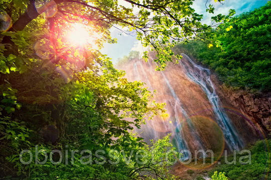 Фотошляхи вінілові на флізеліновій основі, що миють