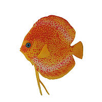 Декор для аквариума флуоресцентная рыбка Discus orange 9,5 см