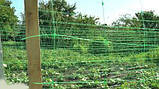 Сітка огіркова (шпалера) 1.7 м х 50 м. Угорщина 15 см х 15 см, фото 3