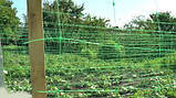 Сітка огіркова (шпалера) 1.7 м х 1000 м Угорщина, фото 3