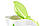 Електрочайник ECG RK 1758 Green, фото 6