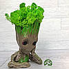 Квітковий горщик Грут зі стабілізованим мохом, фото 2