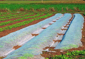 Агроволокно укрывное, каркасне ,мульчують чорне