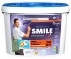 Краска для термоизоляции теплосбережения SMILE SD-54, 1л