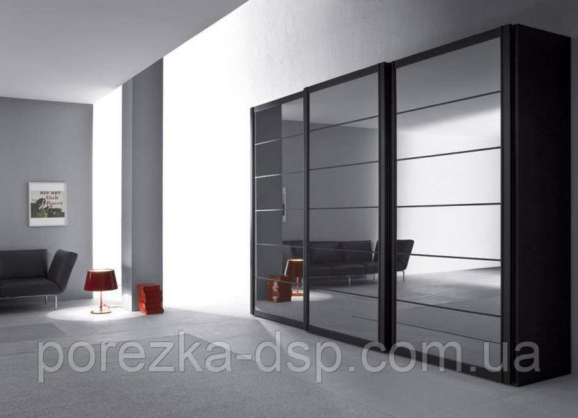 Двері розсувні для шафи-купе Дзеркало з перемичками, фото 1