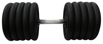 Гантель металева розбірна з покриттям розбірна гантель для тренувань гантель для дому Newt Home 52 кг, фото 3