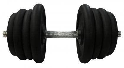 Гантель металева розбірна з покриттям розбірна гантель для тренувань гантель для дому Newt Home 27,5кг, фото 2