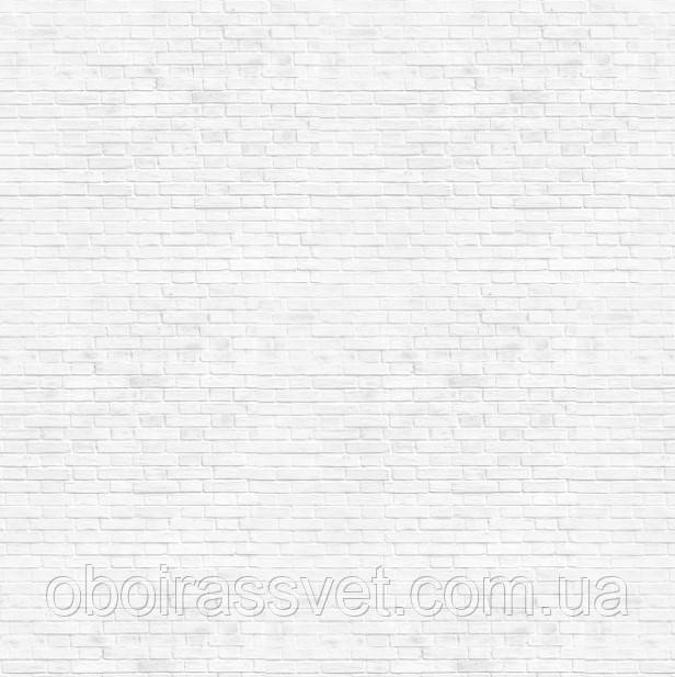 Фотошляхи вінілові на флізеліновій основі, що миють