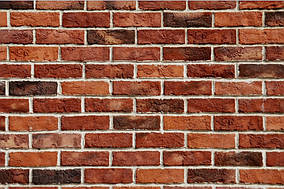 Фотошляхи вінілові на флізеліновій основі, що миють