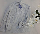 Блуза з бантом, фото 3