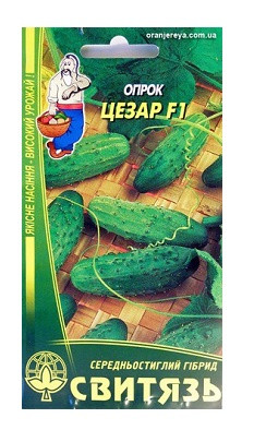 Насіння огiрок Цезар F1, 1г 10