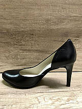 Жіночі класичні туфлі Sodis 8003-L03, фото 3