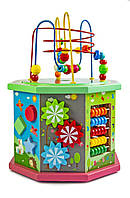 Дерев'яна розвивальна іграшка-сортер 10 в 1, з пальчиковим лабіринтом