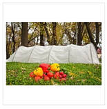 Мініпанчохи, фото 6