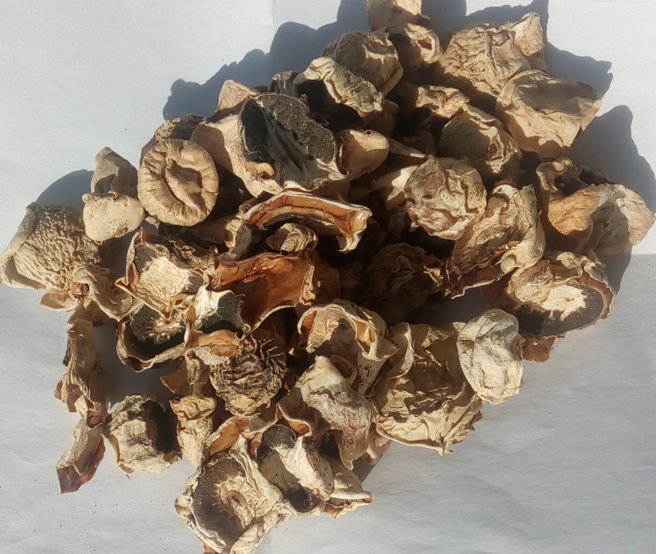 Гриб Веселка (сухий гриб), 50г., фото 1