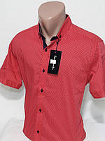 Рубашка мужская с коротким рукавом vk-0003 Paul Smith коралловая приталенная стрейч коттон в принт Турция