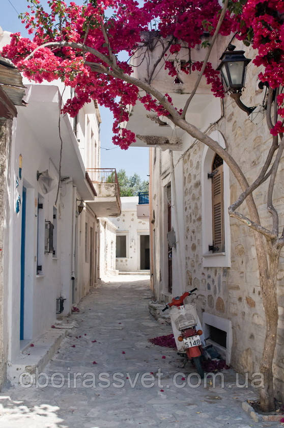 Фотошляхи вінілові на флізеліновій основі, що миють