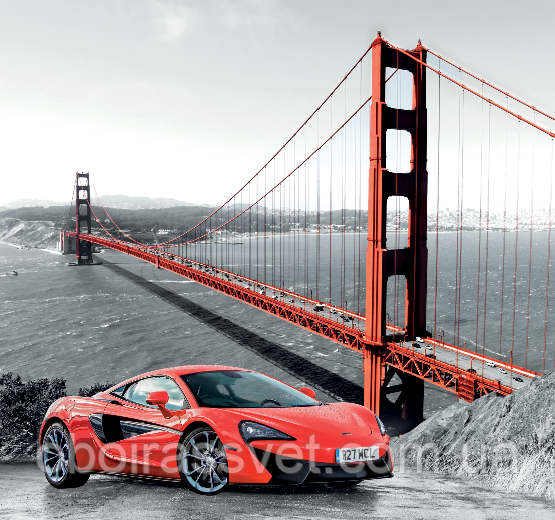 Фотошляхи вінілові на флізеліновій основі, що миють