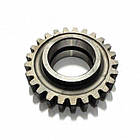 Шестірня 36-1701082 заднього ходу паразитна Z = 25 редуктора коробки передач трактора ЮМЗ