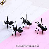 Мурахи-шпажки - "Ant Picks" - 12 шт, фото 4