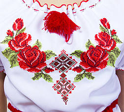 Плаття вишите короткий рукав в українському стилі, фото 3
